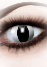 Kontaktlinsen Katze schwarz-weiss