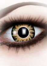 Kontaktlinsen Korona hellbraun