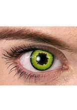 Kontaktlinsen Reptilien