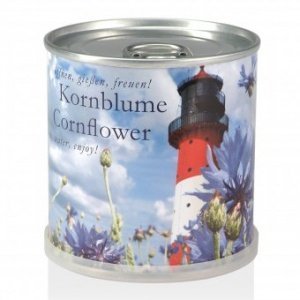 Kornblume aus der Dose