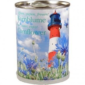 Kornblume aus der Dose