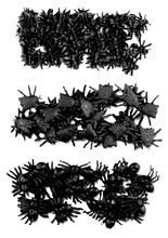 Krabbeltiere Sortiment