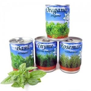 Kräuter aus der Dose
