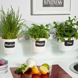 Kräuter-und Pflanzenleiter