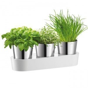 Kräutergarten 3tlg.