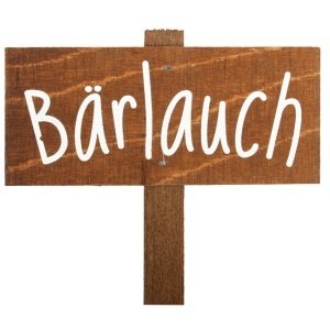 Kräuterschild "Bärlauch"
