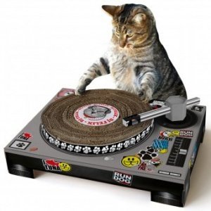 Kratzspielzeug für Katzen Cat Scratch