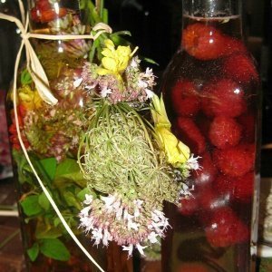 Kreieren Sie Ihre eigenen Öle und Essige