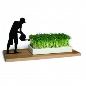 Kresseschale Smart ’n’ green Gärtner