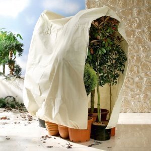 Kübelpflanzen-Sack Jumbo H200 x B240 cm