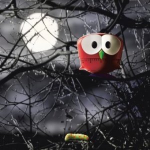 Küchentimer Gufo rot