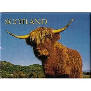 Kühlschrankmagnet "Highland Cow"