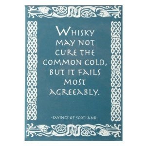 Kühlschrankmagnet "Whisky May Not Cure"