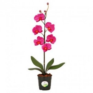 Kunstblume Orchidee maxi fuchsia