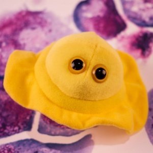 Kuschel-Mikroben - Herpes