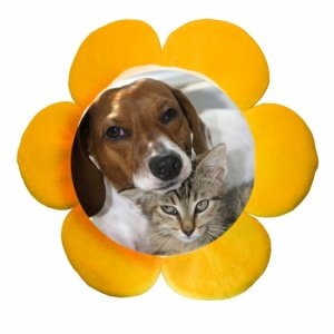 Kuschelkissen Blume mit eigenem Foto