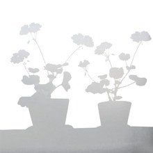 LADP - Pelargon Sichtschutzfolie, klein 