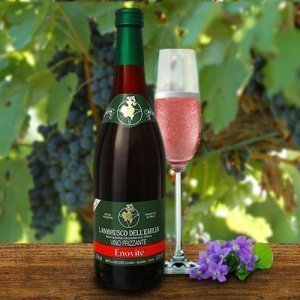 Lambrusco Enovite Vino Frizzante Emilia 