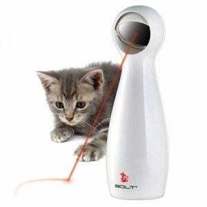 Laserlicht für Katzen