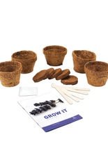 Lavendel Pflanzenzucht-Set