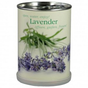 Lavendel aus der Dose