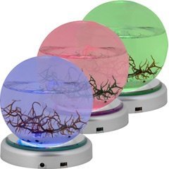 LED-Plattenständer für kleine EcoSphere 