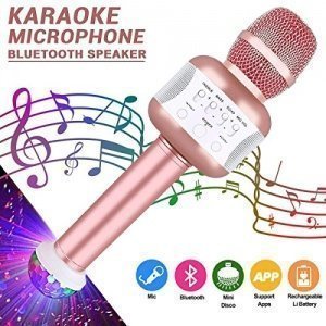 Leeron Bluetooth Karaoke Mikrofon