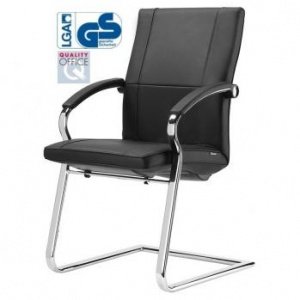 Leo II 5 A Freischwinger-Stuhl von Sato