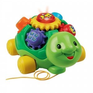 Lernspaß Schildkröte