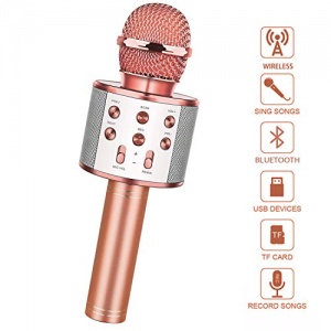 LetsGO toyz Karaoke Mikrofon