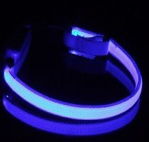 Leuchtendes LED Hundehalsband blau