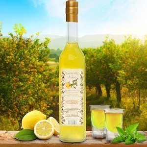 Likör Limoncello mit Minze