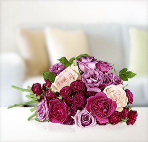 Lilafarbene Duftrosen