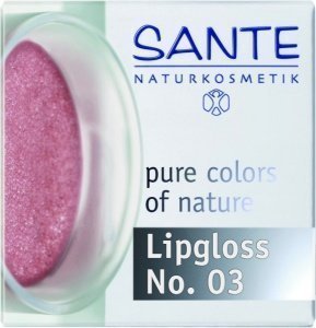 Lipgloss No. 03 rosewood