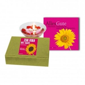 Little Box Zur Feier des Tages