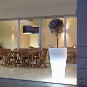 LLUM Curvada Pflanzentrog beleuchtet