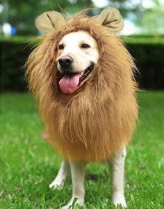Löwe Mähne für Hund Groß Mittel mit Ohren Hunde Lustige Geschenke Haustier Löwe Mähne Kostüm 
