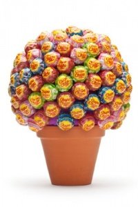 Lollibaum Lutscher Chupa Chups Geschenka