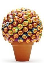 Lollibaum Lutscher Geschenkartikel bunt