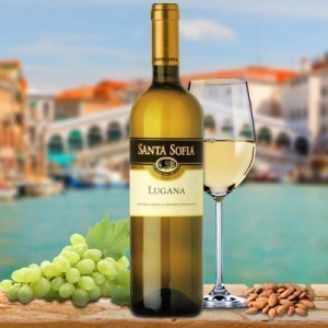 Lugana DOC Weißwein Venetien Italien