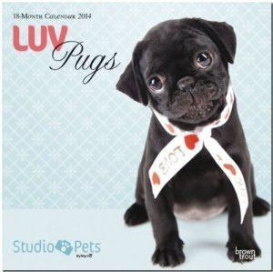 Luv Pugs Kalender