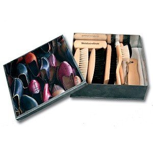 Luxus Schuhbürsten-Set