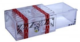 Magische Schatztruhe