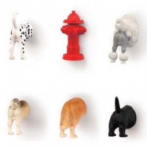 Magnete 6er Set Dog Butt Magnets