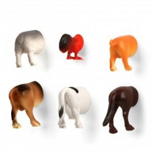 Magnete 6er Set Farm Animal Butt Magnets
