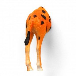 Magnete 6er Set Safari Animal Butt Magne