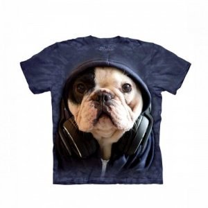 Manny, die französische Bulldogge T