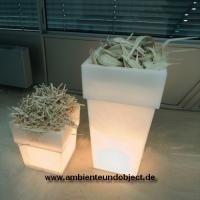 Maranello by Night 100 - LED + Fernbedie