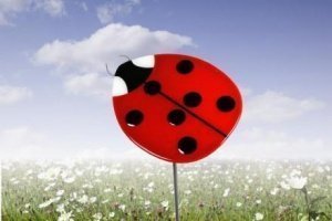 Marienkäfer 35x28cm