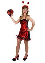 Marienkäfer Damenkostüm rot-schwarz